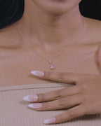 NL19